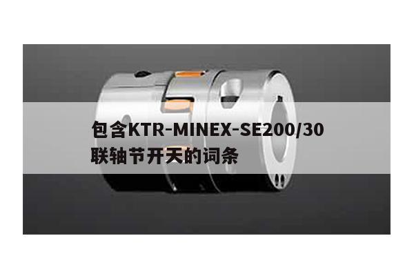 包含KTR-MINEX-SE200/30联轴节开天的词条
